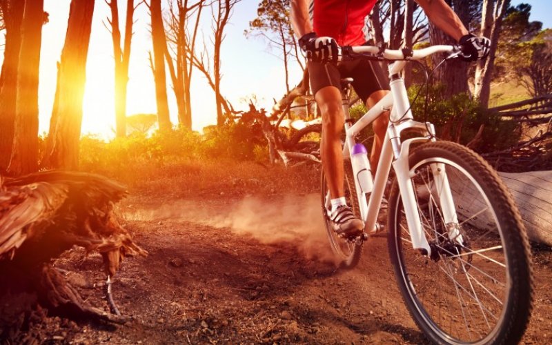 Cómo iniciarse en el ciclismo de montaña